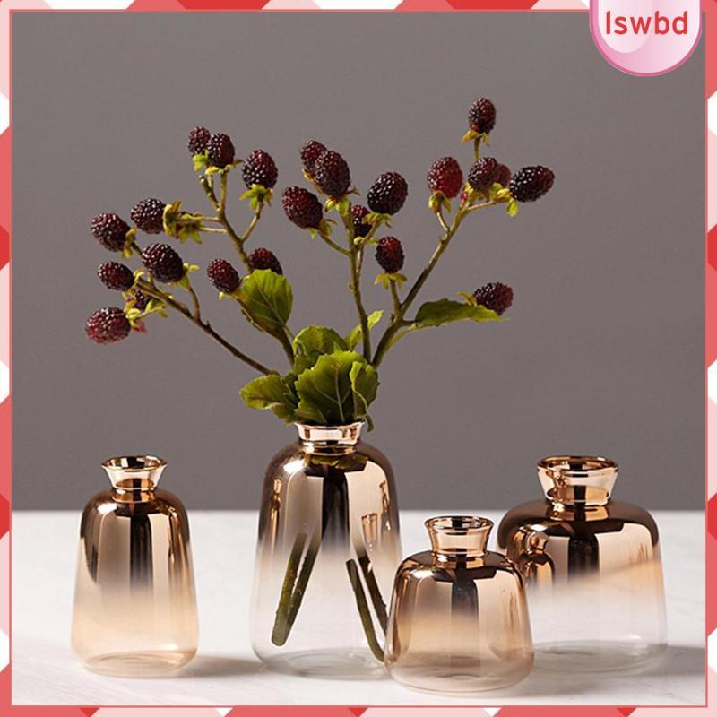 [Lswbd] Vaso De Lâmpada Decorativo De Terrário De Vidro , Acabamento Prateado Para Jardim , Mesa , Arte Floral , Interio