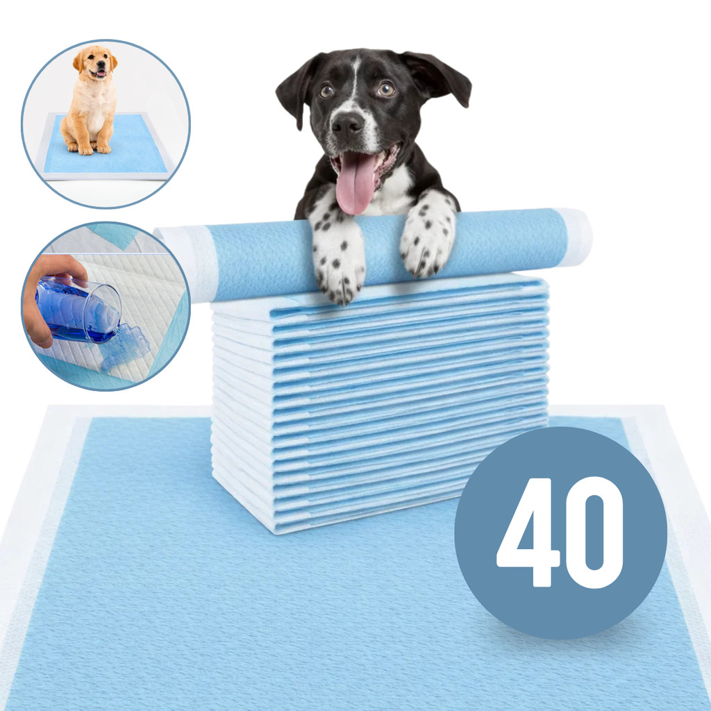 Tapete Higiênico Para Cachorro 20/40/60/80un Fraldas 60x60 cm