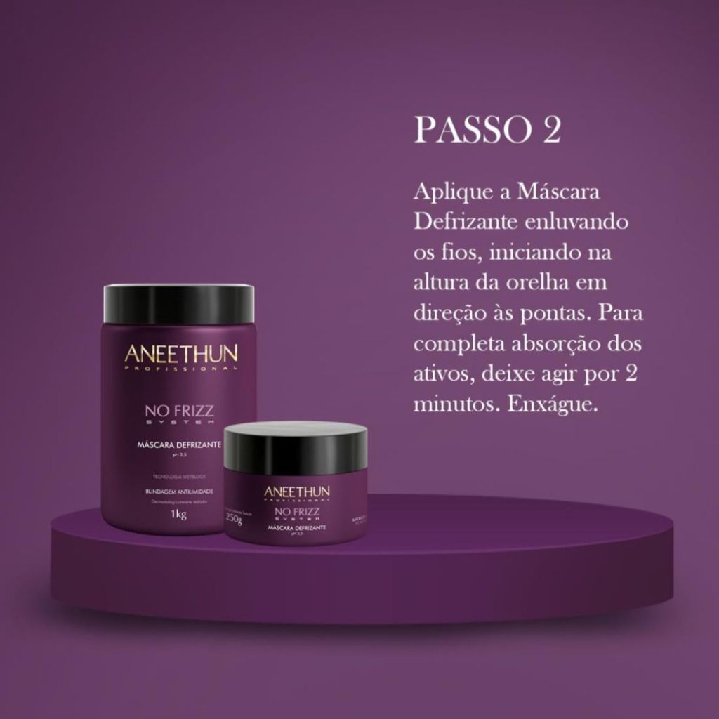 Kit Aneethun No Frizz - Shampoo 300ml + Máscara 250g — imagem 2 de 2
