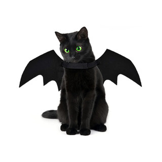 Fantasia Asa De Morcego Banguela Halloween Para Gato Cachorro Pet Dog Cat Dia das Bruxas