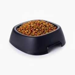 Pote Comedouro Plástico Pet Médio 1,1L Para Cachorro Gato De Ração E Água Cor Preto Plasutil
