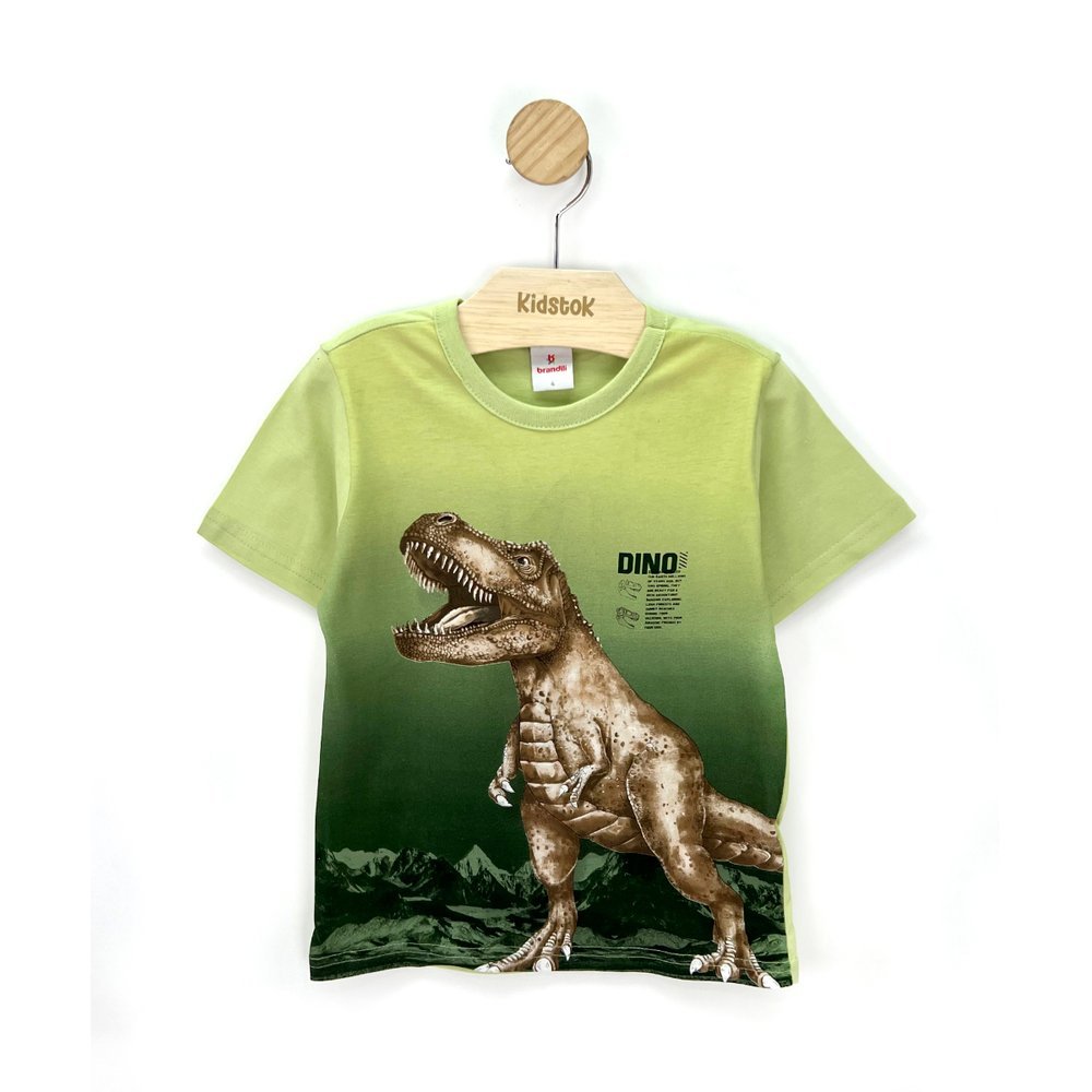 Camiseta Menino Malha Dinossauro - Brandili
