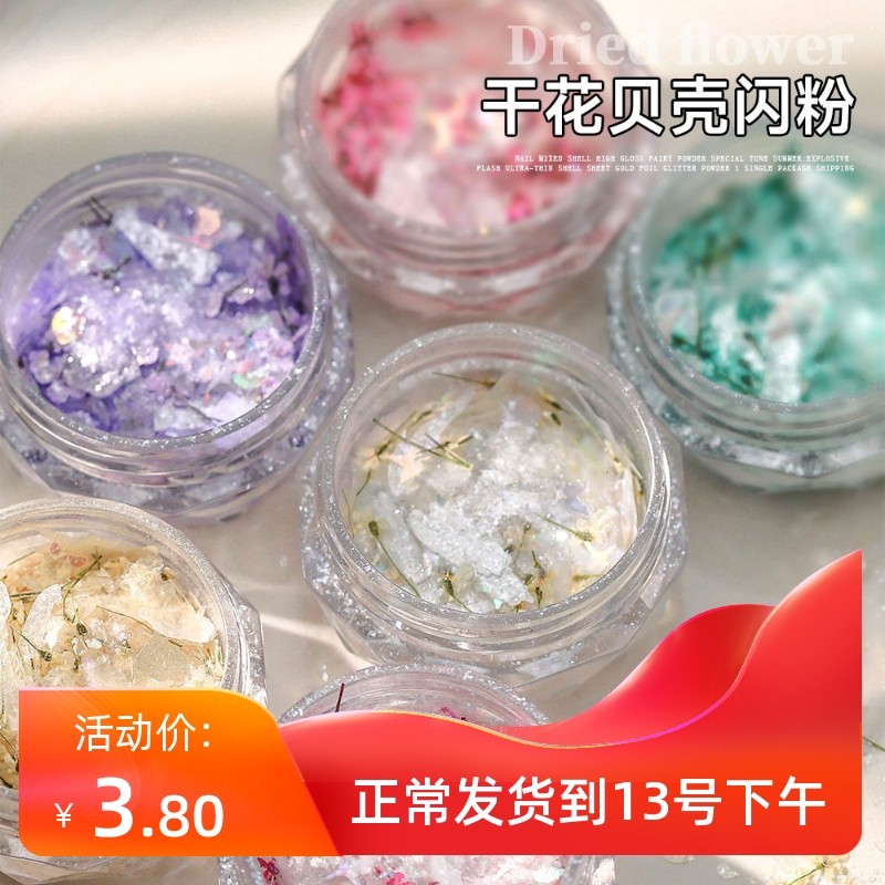Flores secas acessórios de Manicure estilo misto influenciador Strobe Phantom cor concha peças opala pó sonhador nuvem b