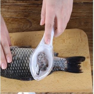 Removedor Limpador Descamador de Peixe Tira Escamas com Lâmina e Coletor