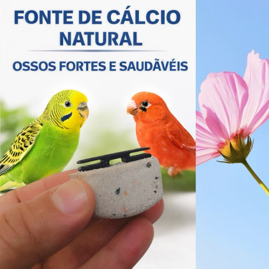 2 Pedras Cálcio Kit Suplemento Nutricional Estresse Calopsitas Agapornis Periquitos Gaiolas Viveiro