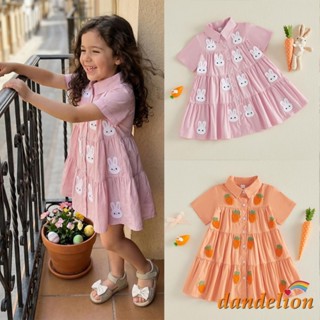 Vestido De Páscoa Para Bebês Meninas De 1 A 7 Anos , Coelho/Cenoura , Bordado , Manga Curta , Gola Com Botões , Vestidos em Oferta na Shopee