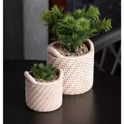 Cachepot Wolff de Cerâmica com Suculenta Palha 10cm x 10cm X