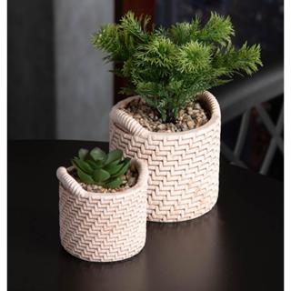 Cachepot Wolff de Cerâmica com Suculenta Palha 10cm x 10cm X em Oferta na Shopee