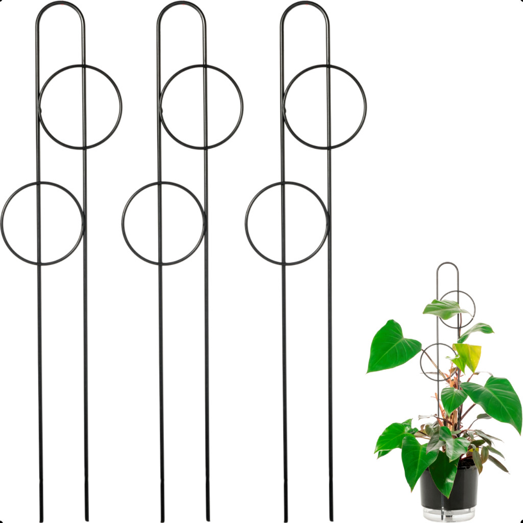 Kit 3 Suporte Tutor Haste Raiz 80cm Apoio Estaca de Ferro para Vasos de Plantas