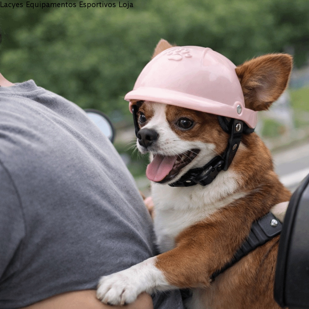 Capacete Para Animais De Estimação LACYES , Arnês De Segurança Cães Com Tapete De Esponja Ajustável , Orelha Protetora E