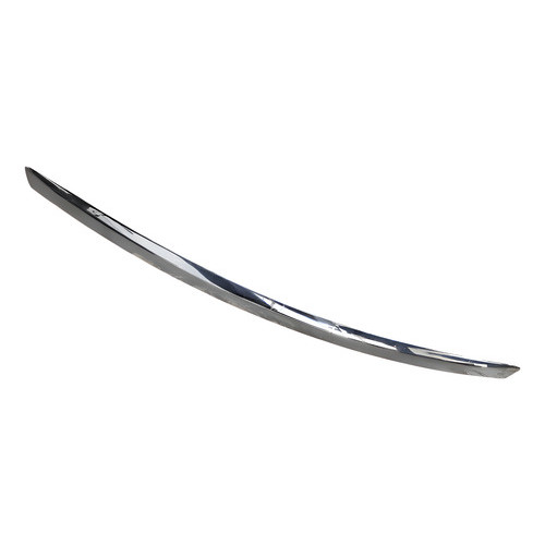 Friso Do Capo Ford Focus 2009 A 2013 01