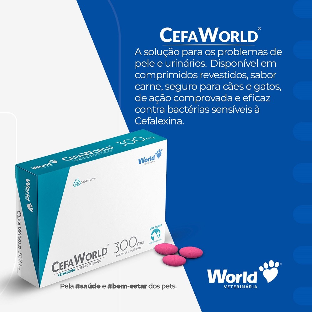 CefaWorld Cães e Gatos 300mg 12 compr - World — imagem 2 de 2