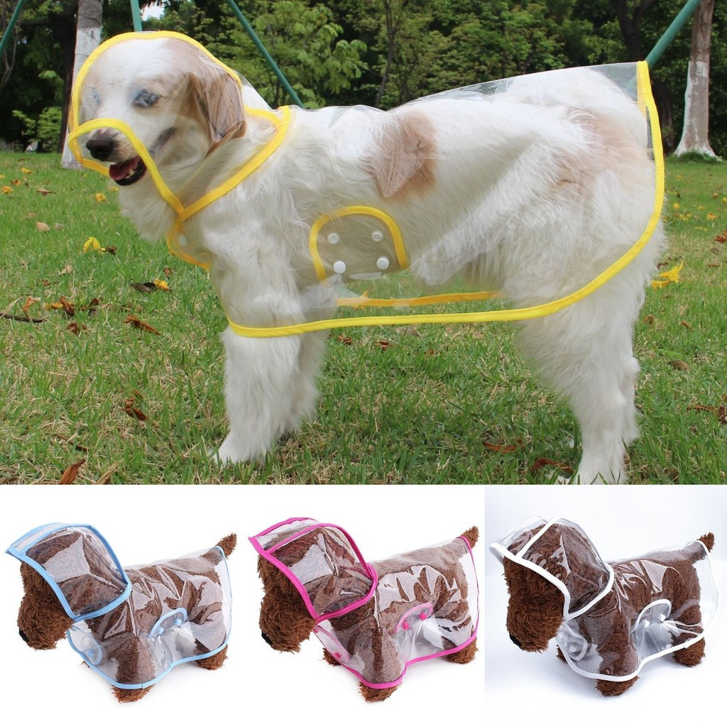 Capa de Chuva para Cães Impermeável Transparente com Capuz para Cães Pequenos