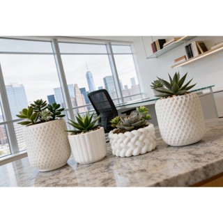 Kit até 7 Vasinhos Decorativo em Gesso para Suculentas e Cactos - ENVIO FULL em Oferta na Shopee