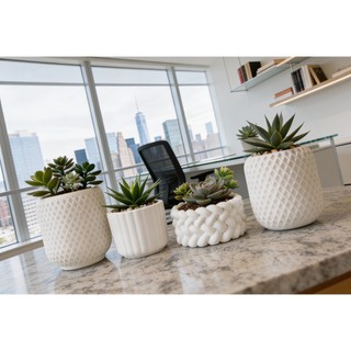 Kit até 7 Vasinhos Decorativo em Gesso para Suculentas e Cactos - ENVIO FULL