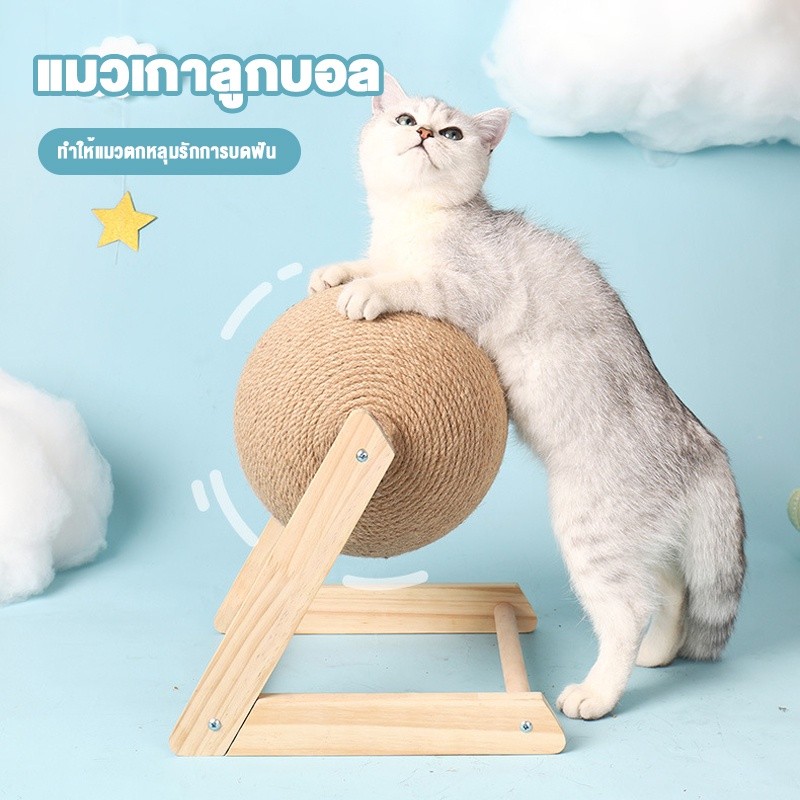 YTLบอลลับเล็บ บอลลับเล็บแมว ที่ลับเล็บแมว ที่ฝนเล็บแมว ของเล่นแมว ลูกบอลฝนเล็บแมว คอนโดแมว - ภาพที่ 6
