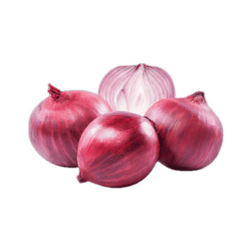 Cebola Roxa Benassi