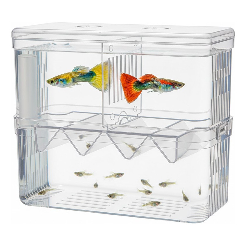 Criadeira Maternidade Para Peixes Com Separador Alevinos guppy Incubadora Aquario Flutuante Acrilico