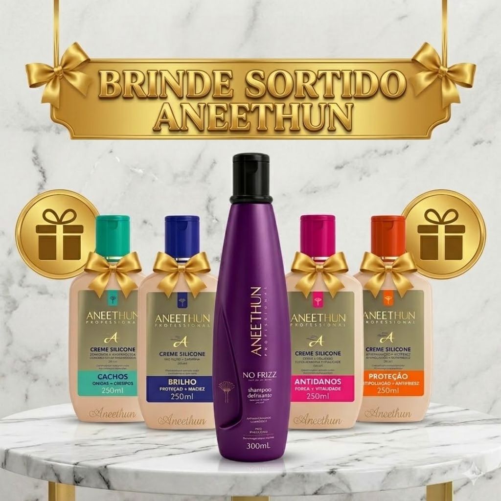 Aneethun No Frizz System - Shampoo Defrizante 300ml