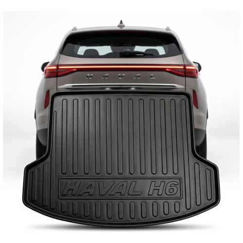Tapete Protetor Bandeja Porta Malas Gwm Haval H6 2024 2025
