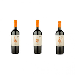 Kit 3 Vinhos Chac Chac Cabernet Franc em Oferta na Shopee
