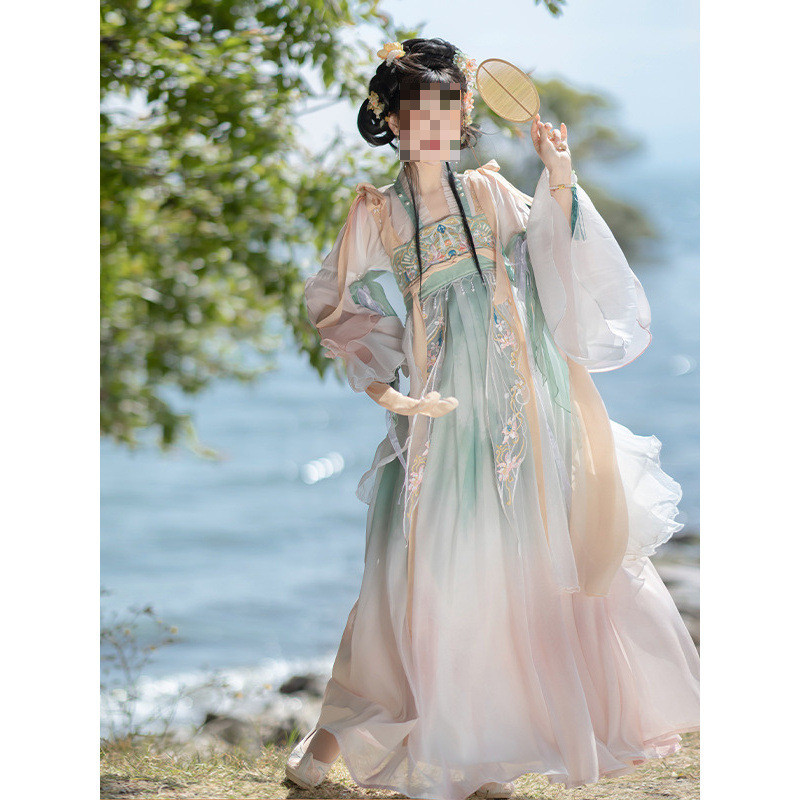 Hanfu Feminino Tang Feito na Altura dos Seios Elementos Han Indústria Pesada Bordado Primavera Verão Diário Wearabl — R$ 439,50 em Shopee