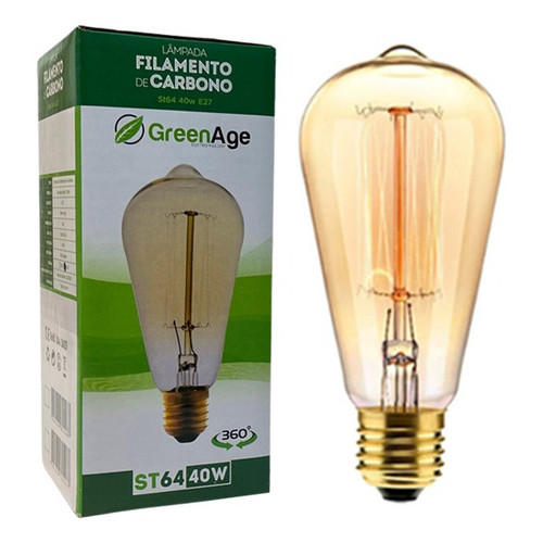 Kit 10 Lâmpadas Filamento De Carbono 40w 220v E27 Retrô St64 Vintage