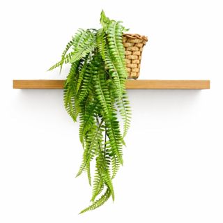 Arranjo Artificial Pendente Toque Natural Para Prateleiras em Oferta na Shopee