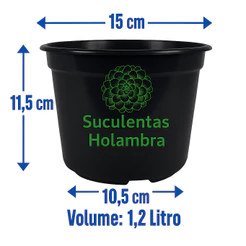 Kit Até 20 Vasos Pote 15 - REFORÇADO Cor Preta Para Rosa Mudas Plantas