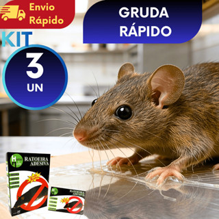 Kit (3/6/9/12) Ratoeira Adesivo Cola Gruda Rato em Oferta na Shopee