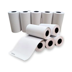 Kit 10 Bobina 80mm Papel Térmico Goldensky Delivery PDV 7m Para Impressora
