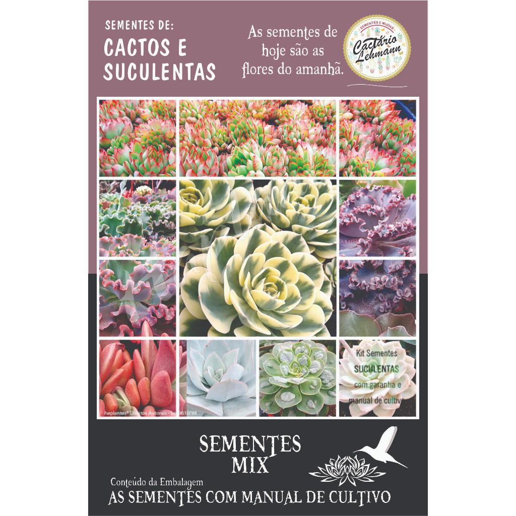 500 Sementes Mini Cactos Raros (sementes para mudas) sementes organicas