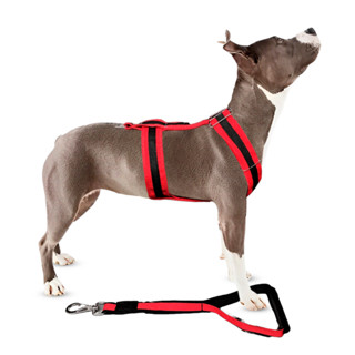 Conjunto Peitoral Tração Pitbull Com Guia Manopla Para Cachorro Cão Forte Grande Porte Pitbull em Oferta na Shopee