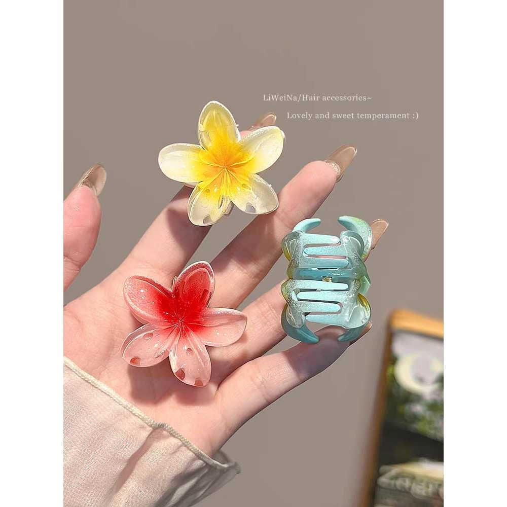 Kit 12/24/36/48 peças 4cm Grampos/Piranhas de Cabelo Flor de Feriado de Praia – Barrettes -  atacado em Oferta na Shopee