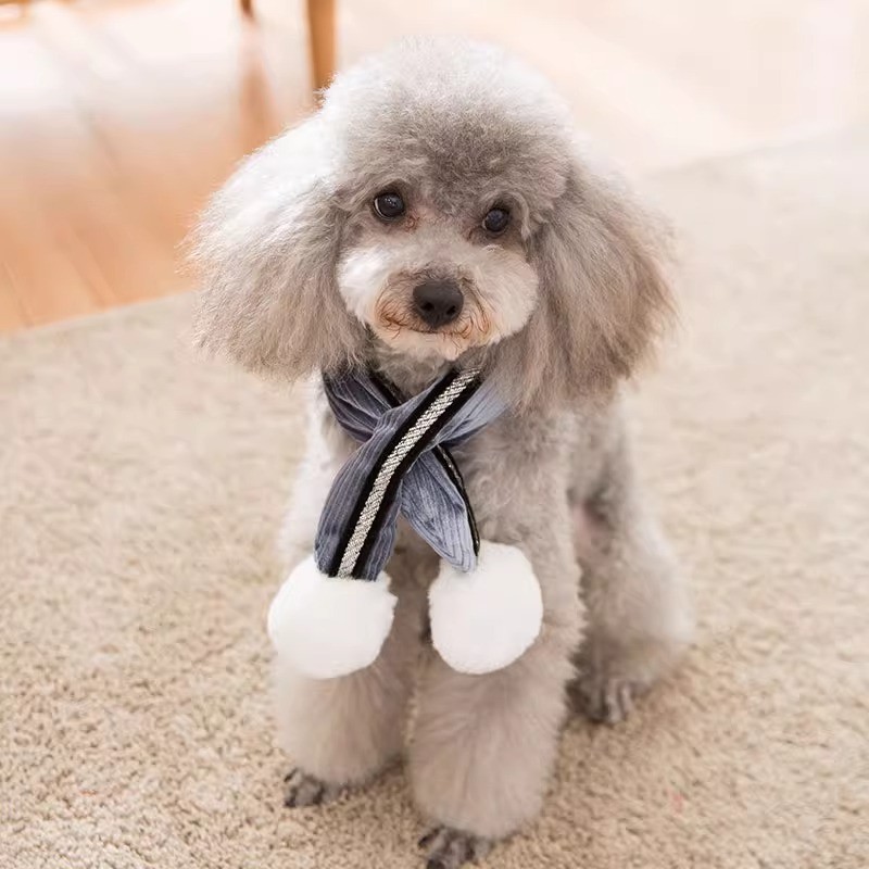 [Liberação de Especial] Cachecol Cachorro Outono Inverno Quente Teddy Bichon Corgi Golden Retriever Lenço de — R$ 22,27 em Shopee