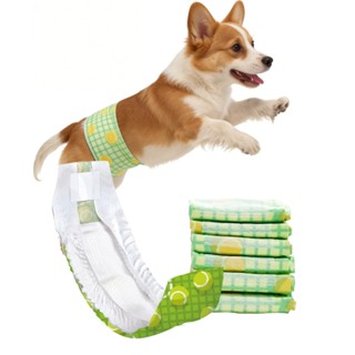 Newpet Fralda Pet Descartável Higiênica Para Macho 12 Un（P/M/G/GG) em Oferta na Shopee