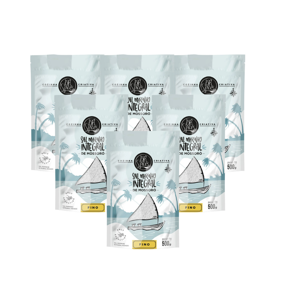 Kit 6 Sal Marinho Integral Mossoró BR Spices 500G em Oferta na Shopee