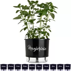 Vaso Raiz Autoirrigável Temperos Gourmet Médio N3 16x14 Auto Irrigável Cebolinha Manjericão Hortelã