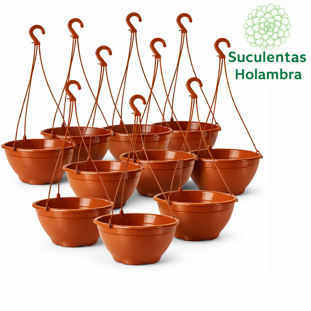 Kit 20 Vasos Cuia 21 Com haste 43 cm - REFORÇADO Cor Terracota Marrom - p/ Rosa do Deserto, Samambaia, Suculentas em Oferta na Shopee