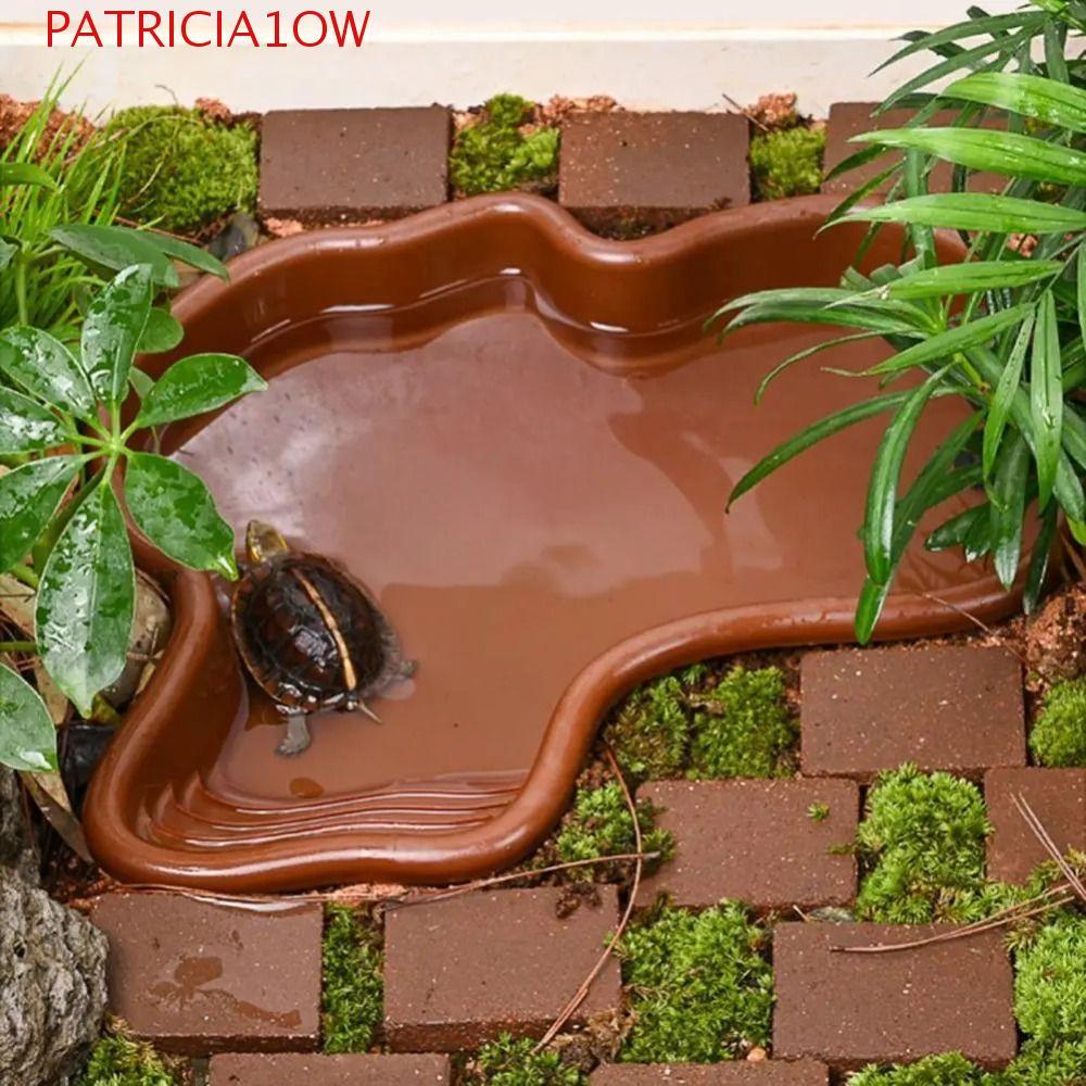 PATRICIA1OW Piscina Para Répteis , Portátil Com Tigela De Água Rampa , Prato De Alimentação Reutilizável Tartarugas em Oferta na Shopee
