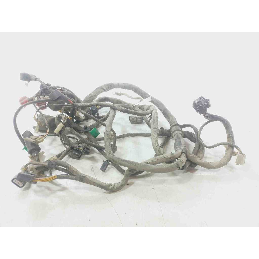 CHICOTE COMPLETO - MOTOCICLETA HAOJUE VR 150 2022