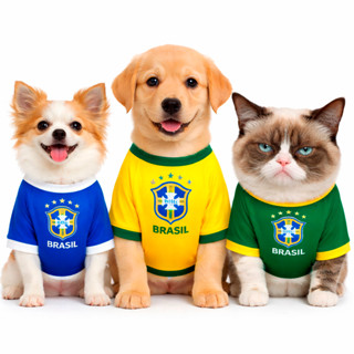 ROUPA PET Brasil COPA Roupinha Cachorro Gato Seleção Hexa 2026 Animal - ENVIO IMEDIATO em Oferta na Shopee