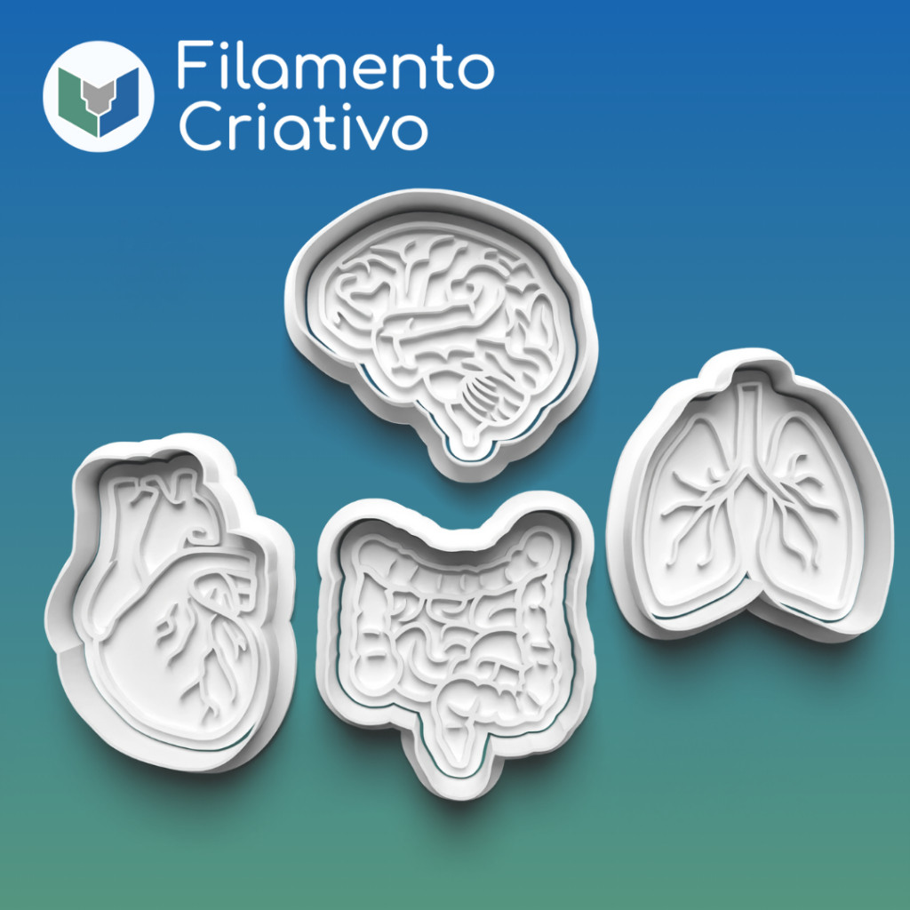 Cortadores de Biscoito Órgãos Humanos Coração Intestino Pulmão Cérebro