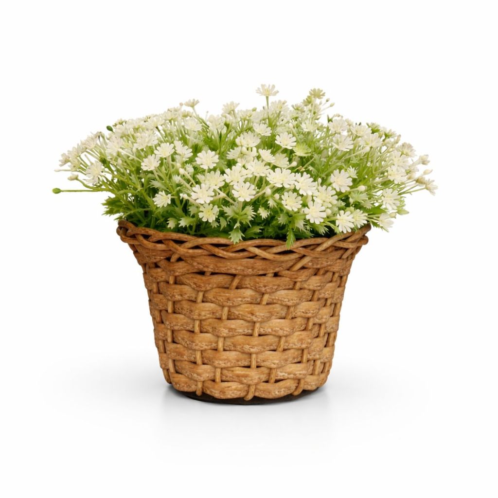 Arranjos Flores Artificiais Flor Mosquitinho Vaso Boho Chic