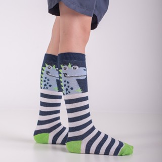 Meia Infantil 3/4 Cano Longo Menino Listrada Dinossauro Galocha Meião Divertido em Oferta na Shopee