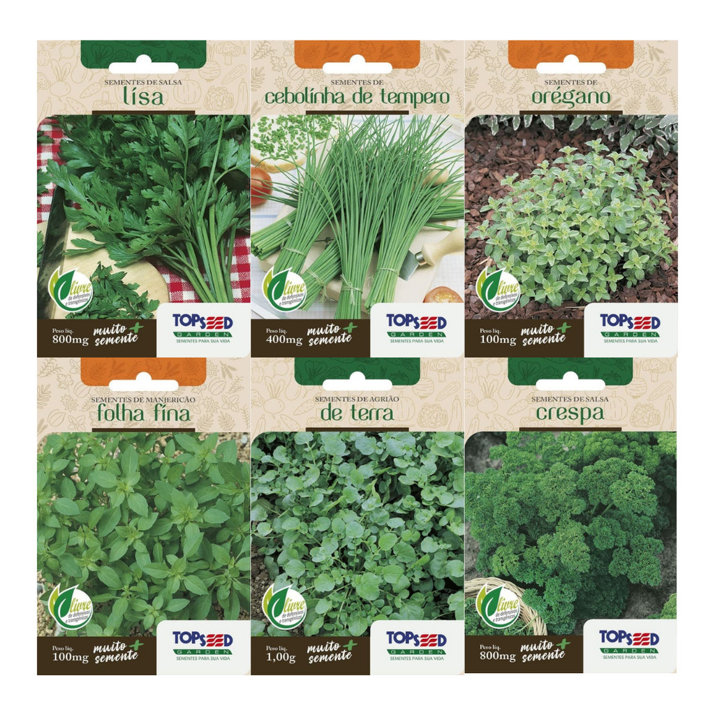Kit 6 Sementes Horta Caseira | Salsa Lisa e Cespa, Cebolinha, Orégano, Manjericão Folha FIna, Agrião da Terra