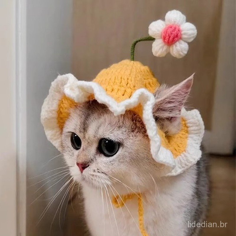 Chapéu para animais de estimação com flor pequena Lolita Maid Inglês Curto Gato Chapelaria Aba Ondulada Chapéu de Malha