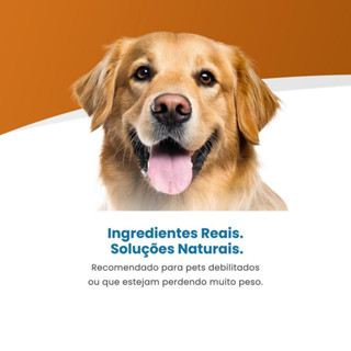 Vet Life Convalescence para Cães Adultos de Todas as Raças 300g em Oferta na Shopee