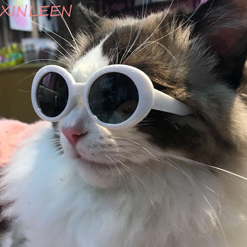 XINLEEN Óculos De Sol Para Gatos , Animais De Estimação , Fotos , Adereços , Plástico , Redondo , Legal , Olho De Gato