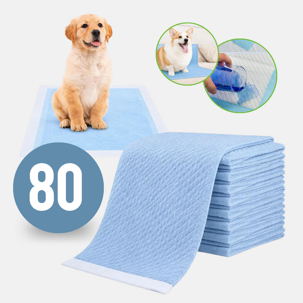 Tapete Higiênico Para Cachorro Fraldas Descartáveis 60x60 20/40/60/80un